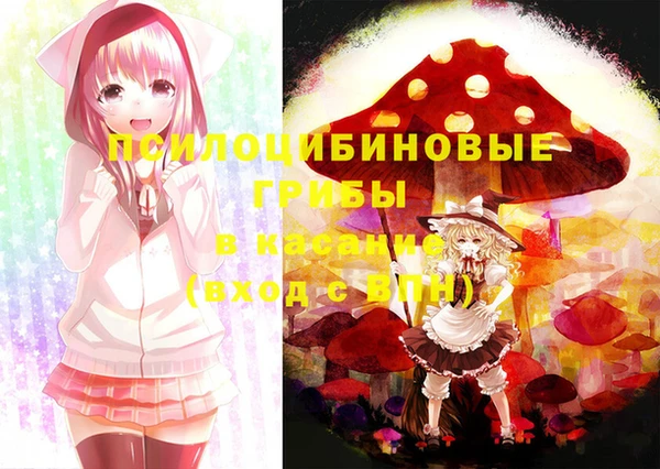 твердый Приозерск