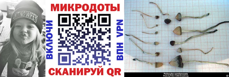 маркетплейс как зайти  Тайга  Галлюциногенные грибы Magic Shrooms  где найти  